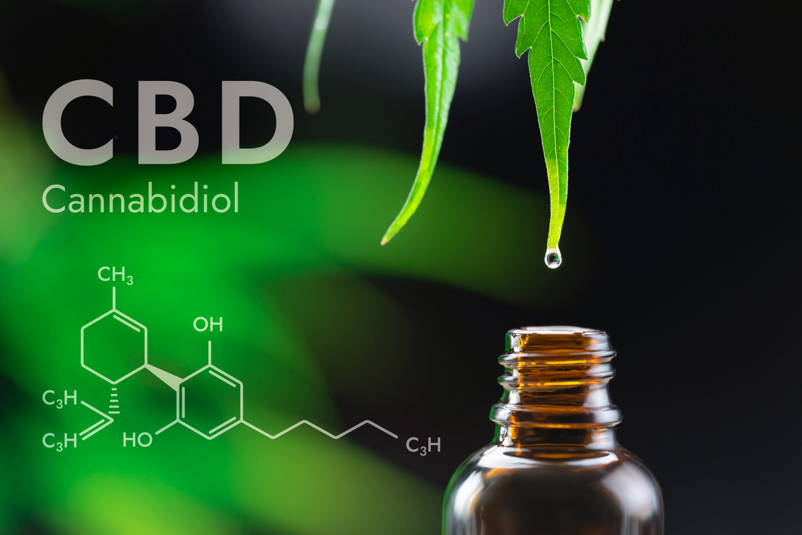 Premium-Grade-Extra-Strength-CBD-Oil-2-scaled