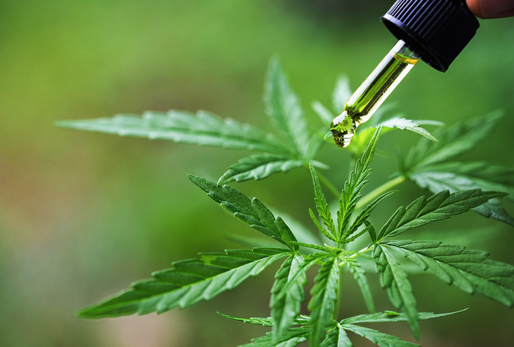 Revitalize Your Routine: Embrace CBD Oil for a Vibrant Lifestyle in West Palm Beach, FL